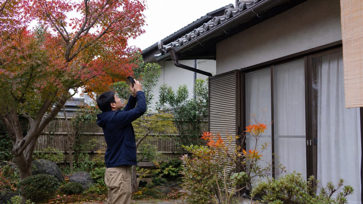 地上から軒先を見上げて点検する