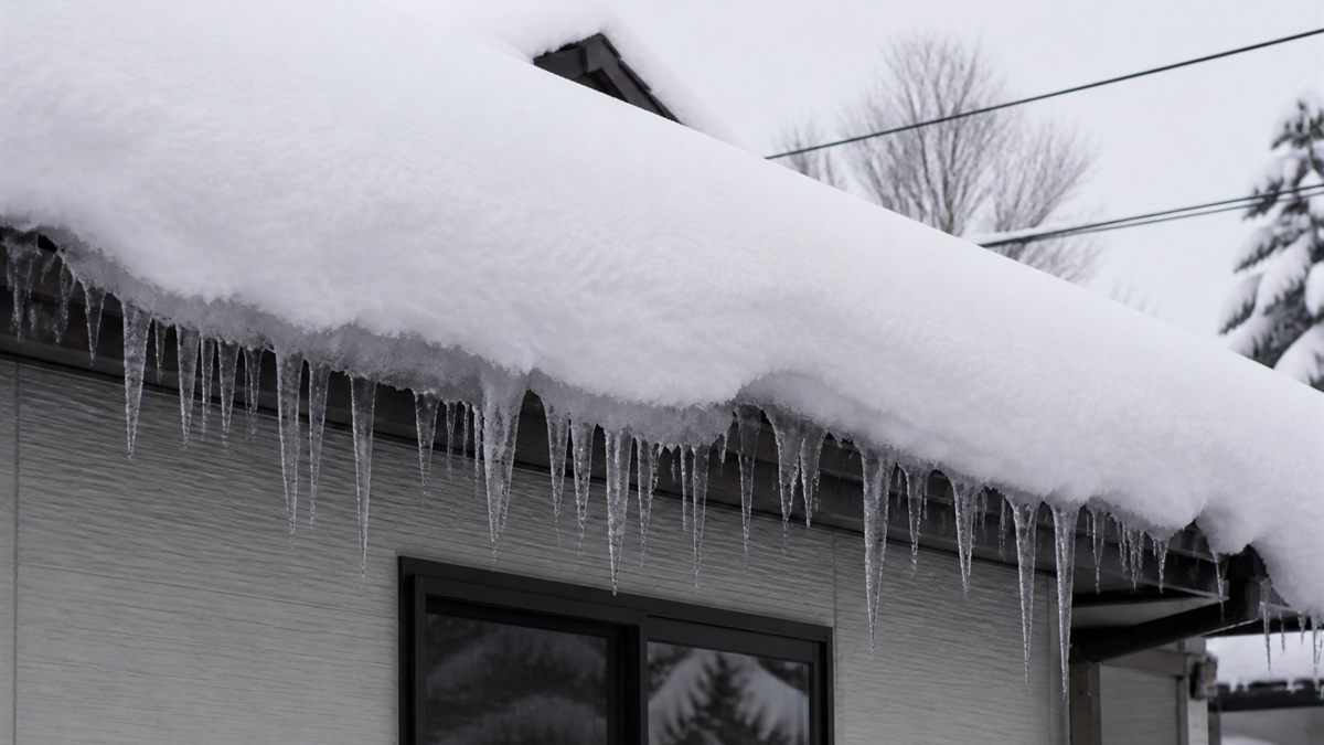 雪が乗った屋根