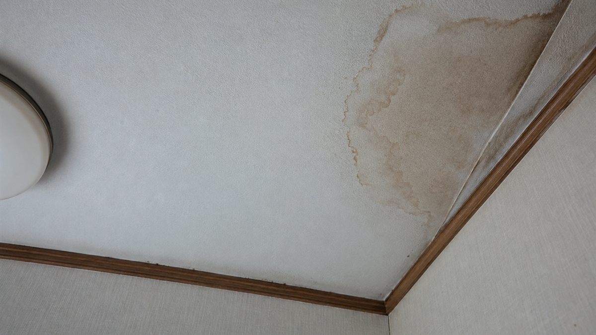 天井のクロスに広がった雨じみ
